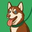 PawTrail app icon